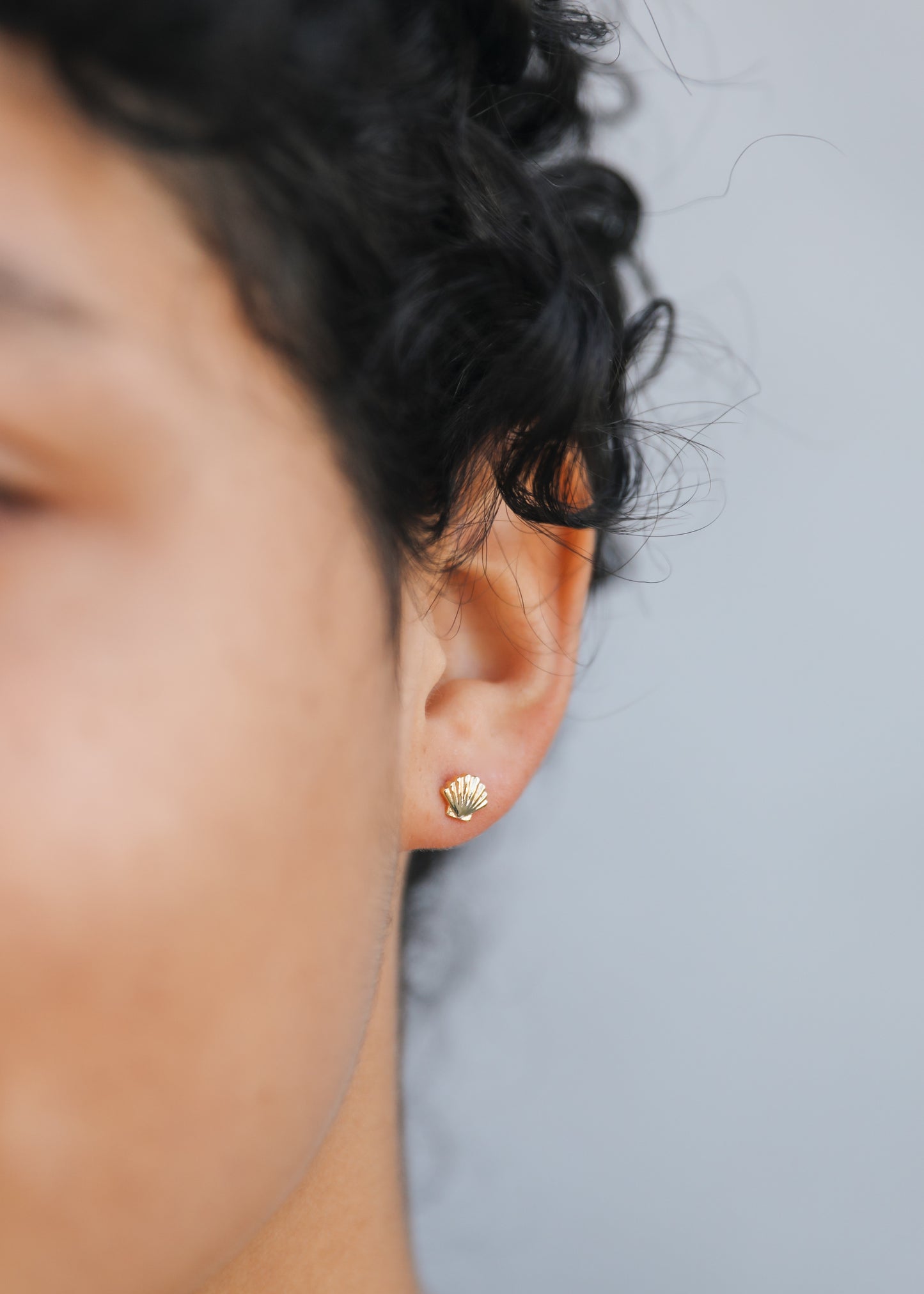 Seashell Stud - Earring