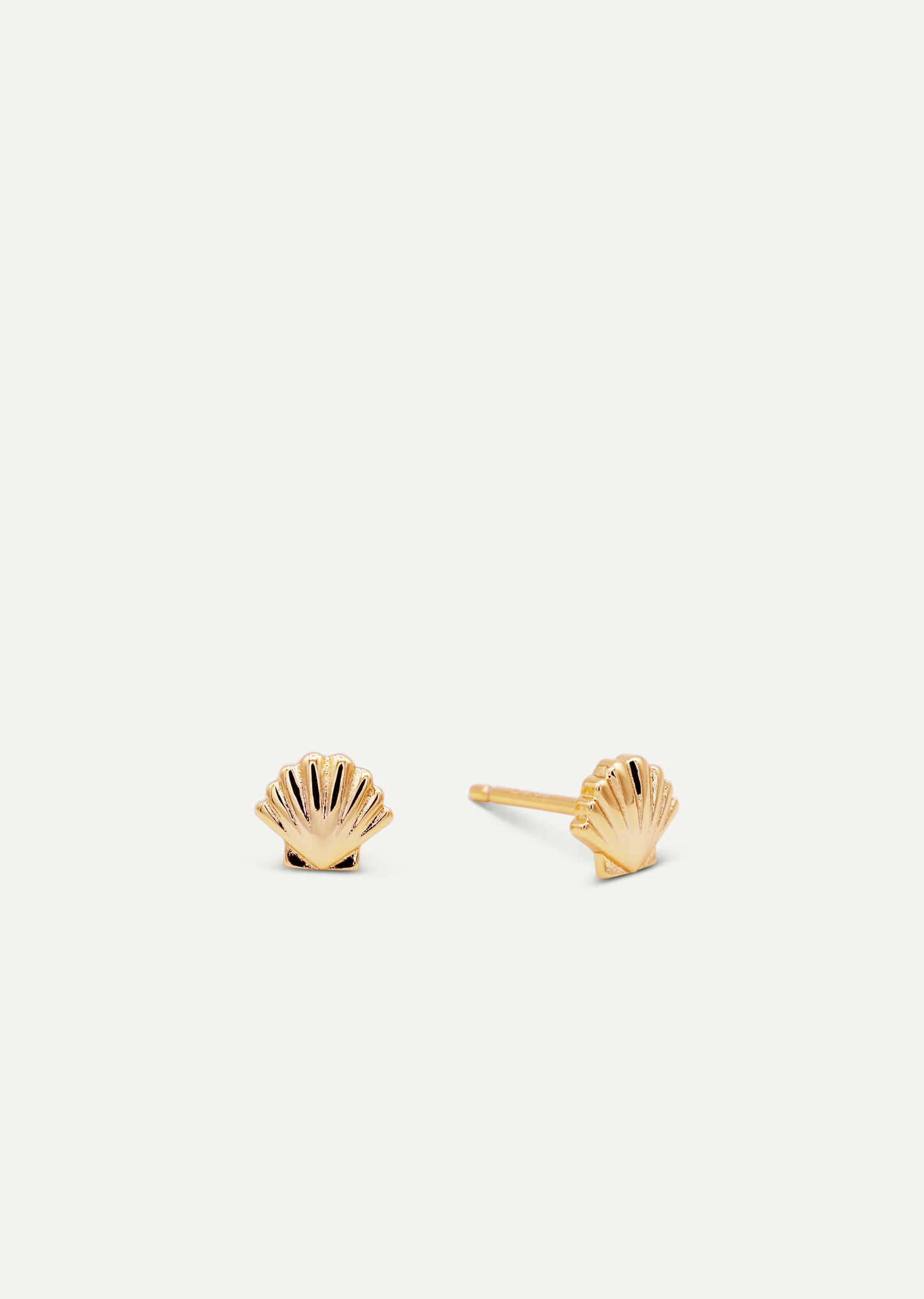 Seashell Stud - Earring