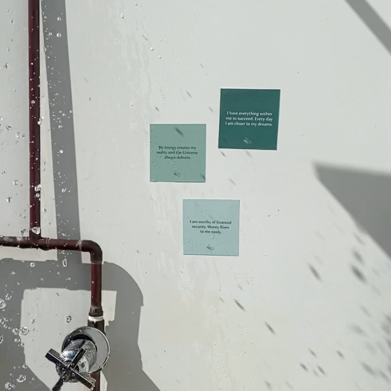 Abundance Shower Affirmations™