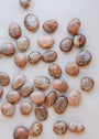 A set of smooth, oval Moonstone Palm Stones for luck, featuring genuine brown and tan crystals with natural patterns, scattered on a light surface and reflecting light.