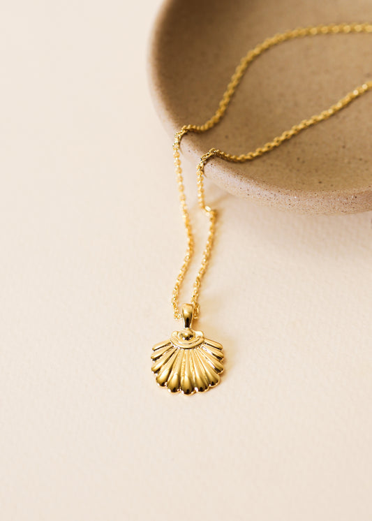 Seashell Pendant - 18k Gold Necklace