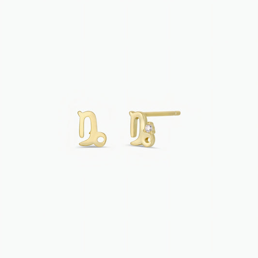 Zodiac Earrings  - Capricorn