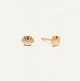 The Seashell Stud - Earring is a pair of hypoallergenic gold stud earrings shaped like scallop seashells, displayed on a plain white background.