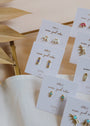 A display of White Opal Crown Stud earrings on white JANICELLY cards, tagged "wear good vibes." The gold plated, lab-grown opal studs are neatly arranged on a soft fabric background.
