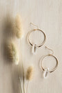 The Clear Quartz Hoop - Healing earrings rest on a light wooden surface beside fluffy beige dried grass stems.