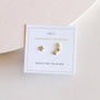 A pair of 18k gold plated Star & Constellation stud earrings sit on a white JaxKelly Complements Collection card with "Reach for the Stars" at the bottom, capturing celestial charm.