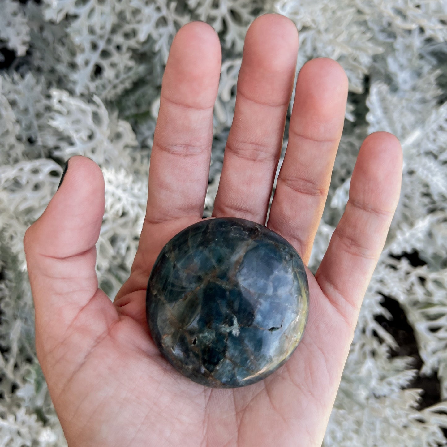 Blue Apatite Palm Stone - Clarity